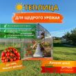 Теплица Сибирская 