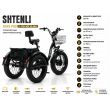 Трехколесный электровелосипед Shtenli Trike 31